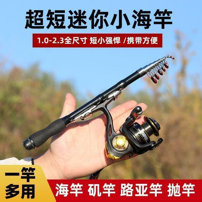 短節小磯竿 迷你29釐米