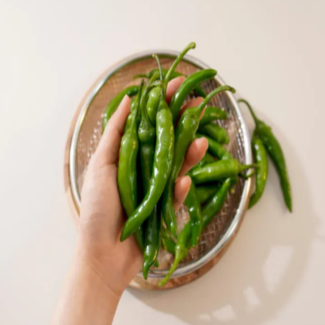 국내산 청양고추 매운 생고추 신선배송, 1개, 4kg