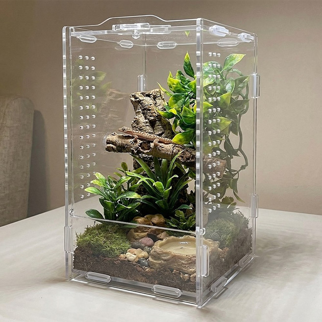 모바스 소형 도마뱀 케이지 미니 파충류 사육장, 1개, 투명