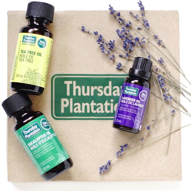 호주 써스데이 플랜테이션 에센셜 오일 라벤더 티트리 50ml, 1개 - 쿠팡