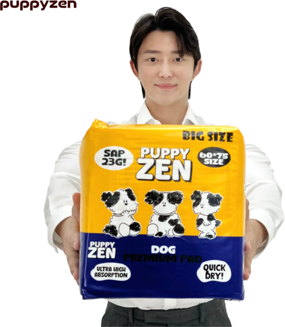 퍼피젠 대형사이즈 3초흡수 SAP23g 에어메쉬 강아지 배변패드, 1개, 22개입