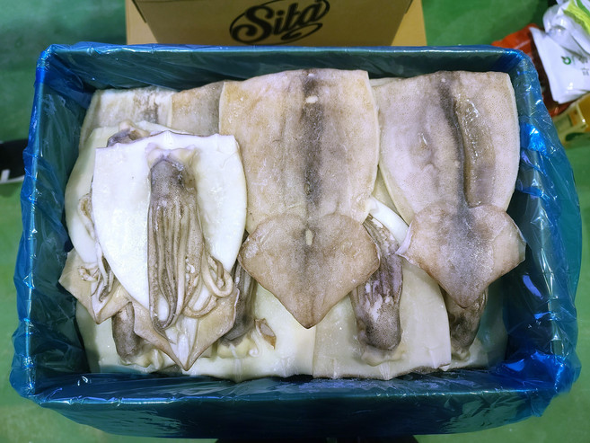 할복오징어 활복 냉동손질오징어 선동 활복 4kg 벌크형 무탈피 20-24미, 할복오징어 27~28미, 1개