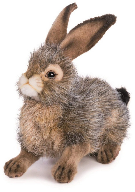 BH6284 HANSA 오구로 토끼 25, 1개