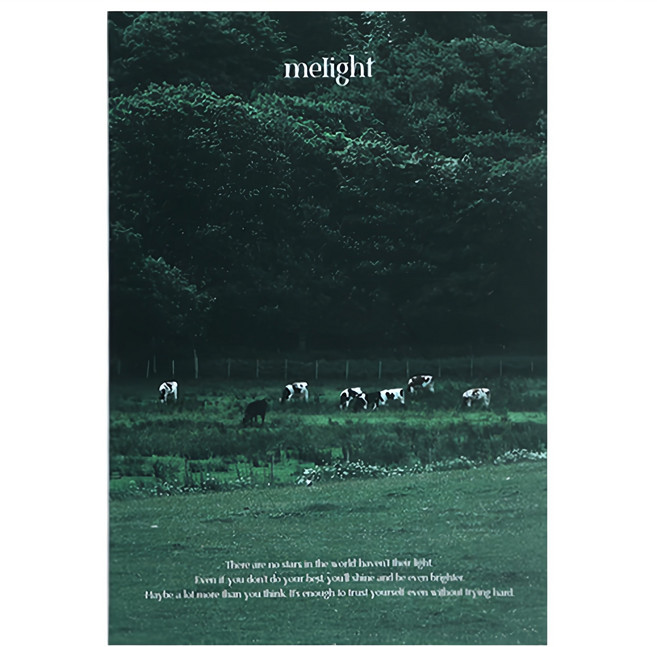 워너디스 미라이트 모눈 노트, 04 다크 포레스트, 1개