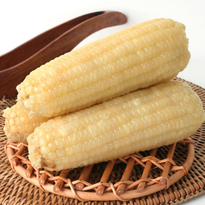 찰옥수수 큰 백찰 옥수수 20개, 7kg