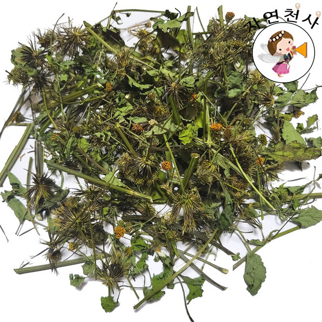 국산 야생 청정지역 직접채취 금침초 도깨비바늘 300g 깨끗한 제품 도깨비풀 도깨비바늘꽃, 1개