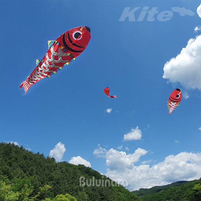 대형 물고기연 (바닷속 대형 가오리연 체험학습 연날리기)
