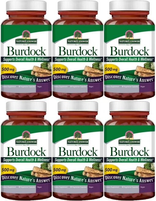 네이처스앤서 우엉 500mg, 90정, 6개 - 쿠팡