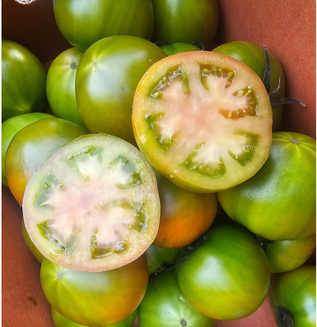 [매일 한정 수량만] 부산 완숙 대저토마토, 1박스, s~m 사이즈 (1kg)