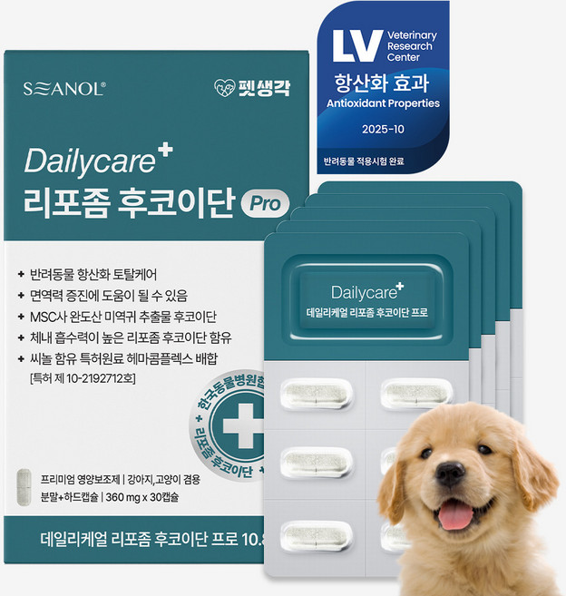 데일리케어 리얼 후코이단 프로 강아지 종합 영양제 항산화 면역력, 1개, 종합영양제, 60정