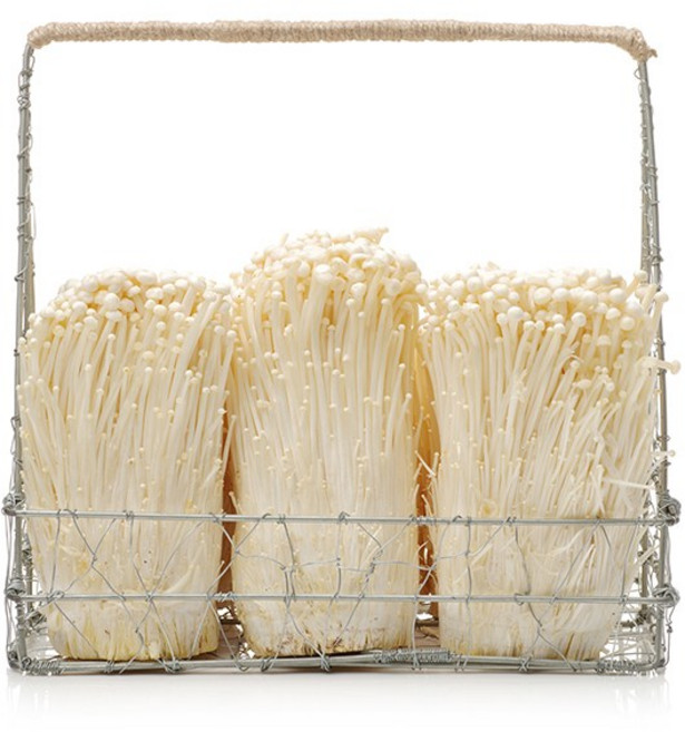 늘바른 국내산 친환경 무농약 팽이버섯(2입)300g, 1개, 단품