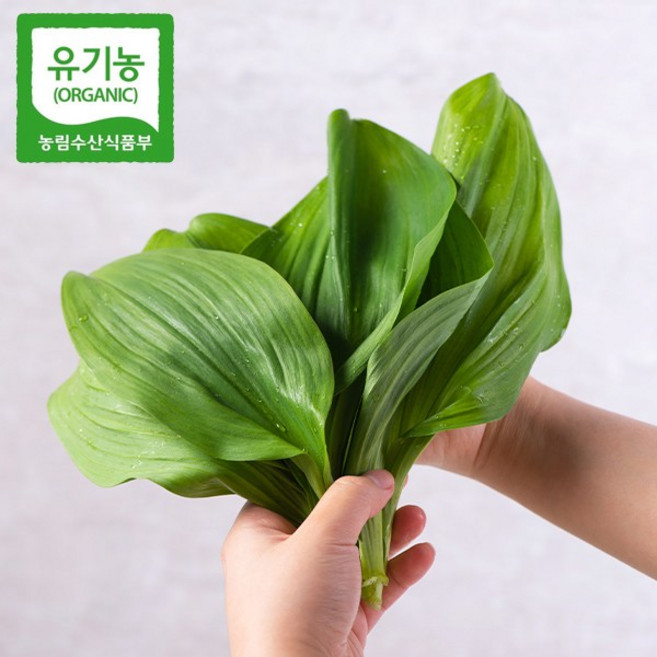 [프리미엄]강원도 홍천 농약 1도 안들어간 유기농 명이 나물 산마늘명이나물 3월 28일 순차적으로 배송 시작, 500g, 1박스