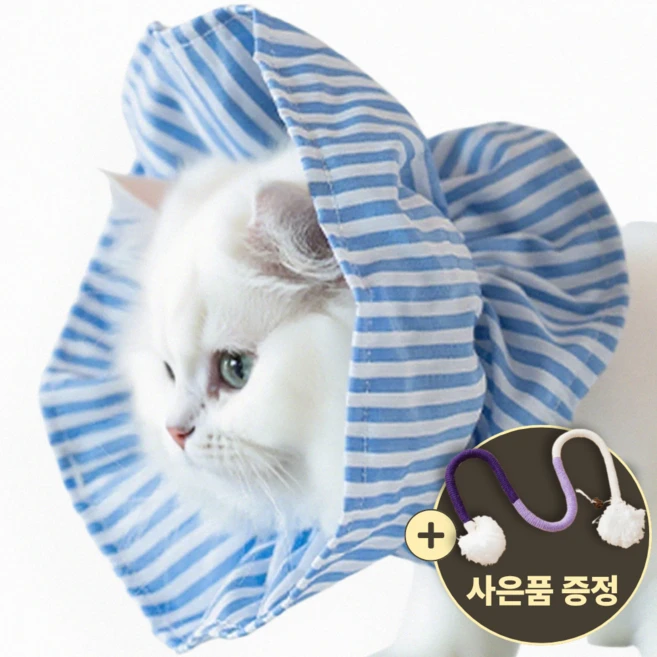 [speedmong] 목편한 초경량 시야 확보 반려동물 편안한 넥카라 고양이 강아지 깔대기 중성화, 파스텔블루, 1세트 - 쿠팡