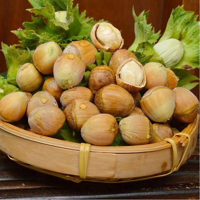 OKYAIOS 중국 길림성 개암 열매 생헤이즐넛, 1개, 1kg