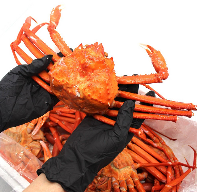 울진 홍게 자숙 붉은대게 박달대게 5마리 산지직송, 1개, 1.75kg 내외