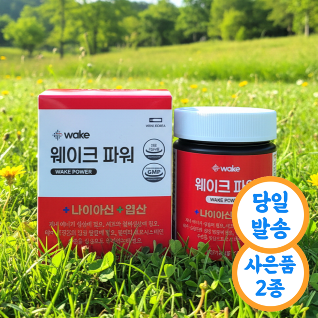 와인코리아 웨이크파워 22Og 메타파워 대체품+증정품 2종, 1개, 210g