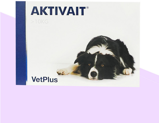 벳플러스 액티베이트 중대형견 미디움 라지 강아지 독 영양제 60캡슐 두뇌 항산화제, 60회분, 면역/항산화, 1개