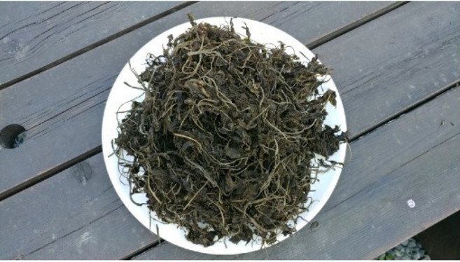 토종 건가죽나물 건참죽나물 가죽나물 100g, 1개