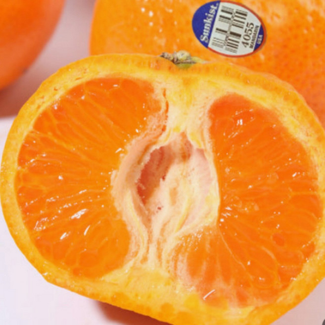 항공직송 썬키스트 미국산 만다린 귤, 1박스, 1kg