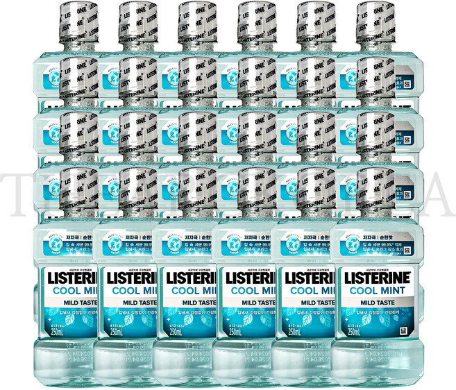 리스테린 쿨민트 마일드 구강청결제, 250ml, 24개