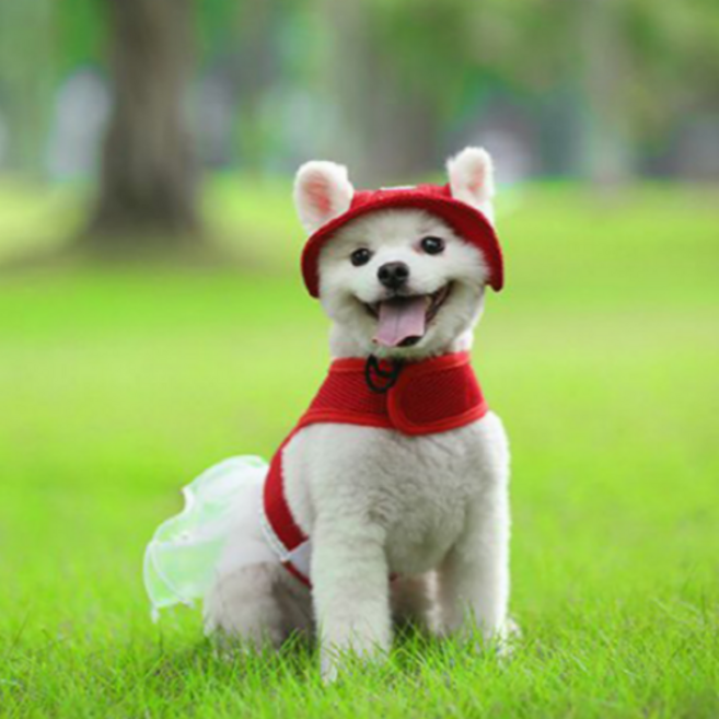 Yoily 강아지 고양이 여름 썬캡 모자 산책 시선집중, 레드, 1개