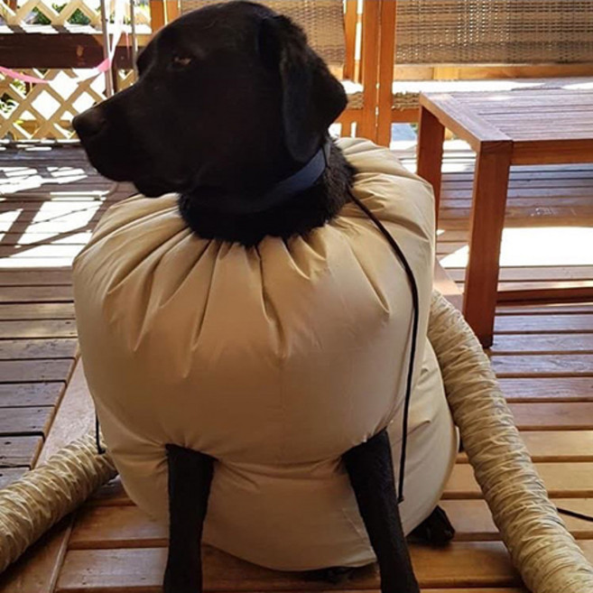 쁘띠앤포 대형견드라이기 강아지드라이룸 펫드라이기 에어탱크 결합 대형견 펫드라이룸 L, 1개