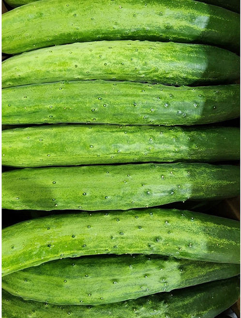 [폭탄할인-선착순100명 한정특가!] 가락시장 국내산 백오이 다다기오이 취청오이 청오이 백다다기오이 조선오이 오이지오이, 1개, 백오이 5kg