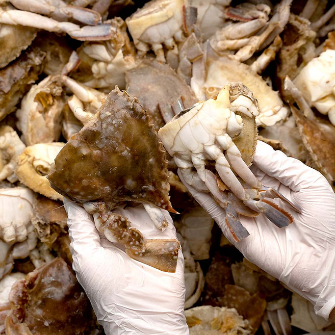 냉동꽃게 육수용 절단 꽃게 10kg, 육수용 삼점게 (뚜껑/내장/게발)10kg, 1박스