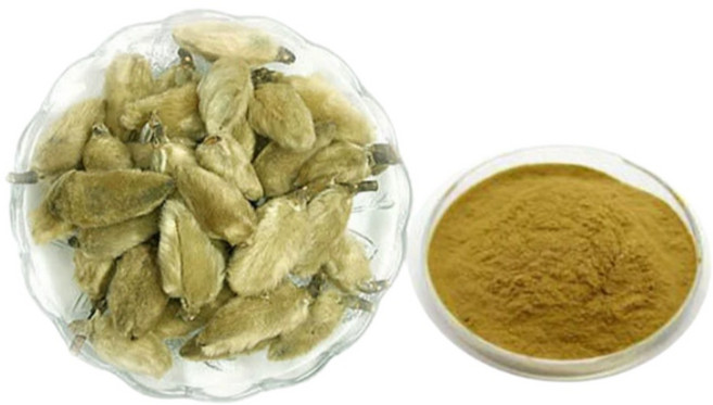 30배 농축 목련꽃봉오리 신이화 추출물, 1개, 1kg