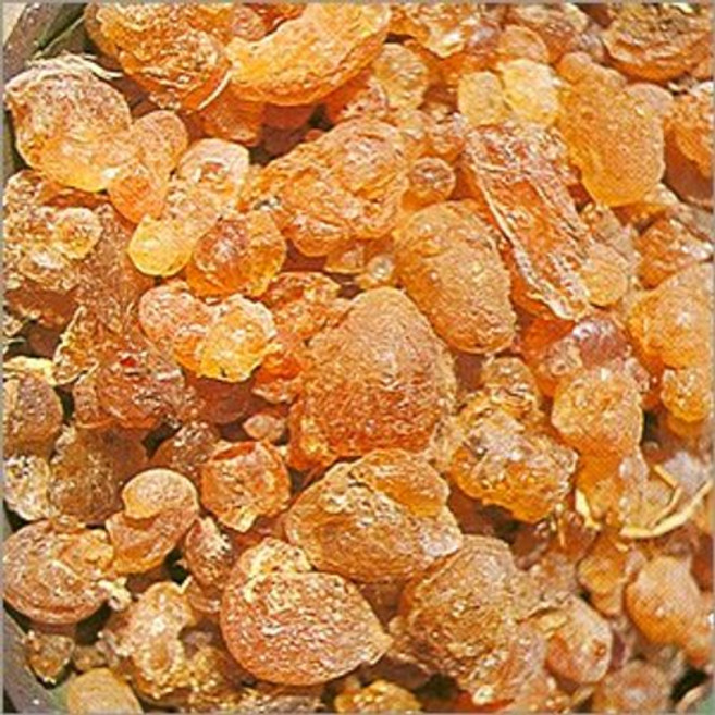 아라비아 검 Gum Arabic, 1개, 1.02kg
