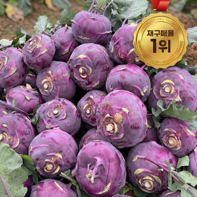 [초초특가] 하루20박스한정 프리미엄 스테비아 콜라비, 1박스, 3kg