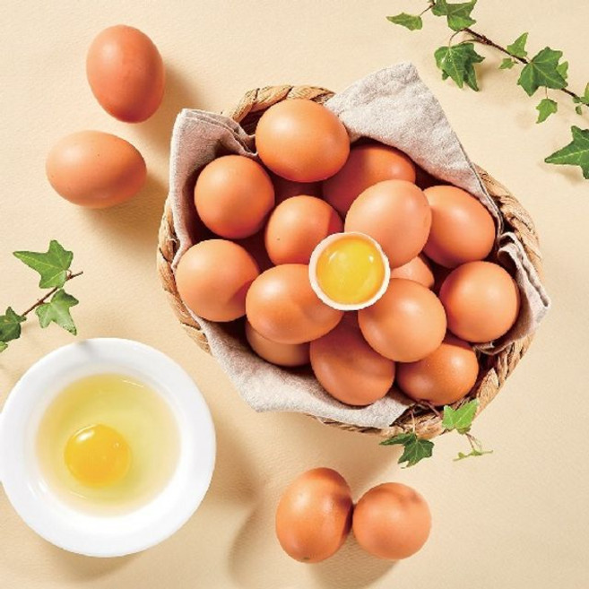 에그트리 오늘 낳은 생계란 특란, 1개, 60구