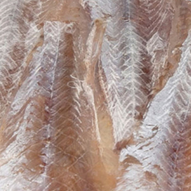 캠핑용 마른안주 명태알포 조미 맥주안주 명태포 두툼한 400g, 1개, 상세페이지 참조