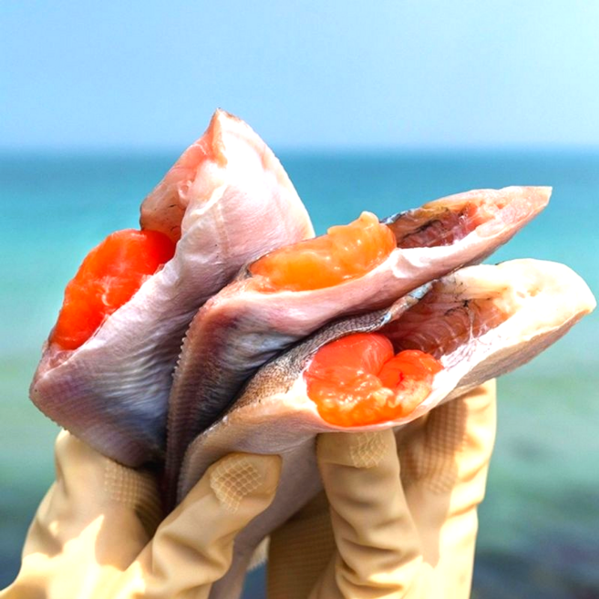 [빅피쉬마켓] 100% 알배기 손질 알가자미 반건조 생선, 1세트, 6미 (750g내외)