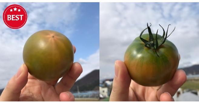 [산지탈탈특가] 대저특품 짭짤이 토마토, 1박스, 대저 짭짤이 특품 소과 1KG(S),