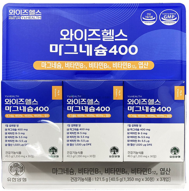 와이즈헬스 마그네슘400 40.5g, 3개, 30정