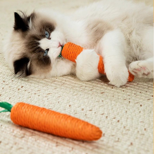 슈슈펫 고양이 장난감 당근 이갈이 스크래처 대형2개 소형 2개, 오렌지, 1세트