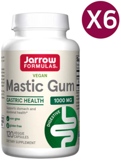 자로우 포뮬러스 매스틱 검 1000mg 120정 X6, 6개 - 쿠팡