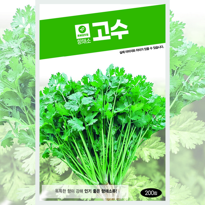 온세상 고수 200립, 1개