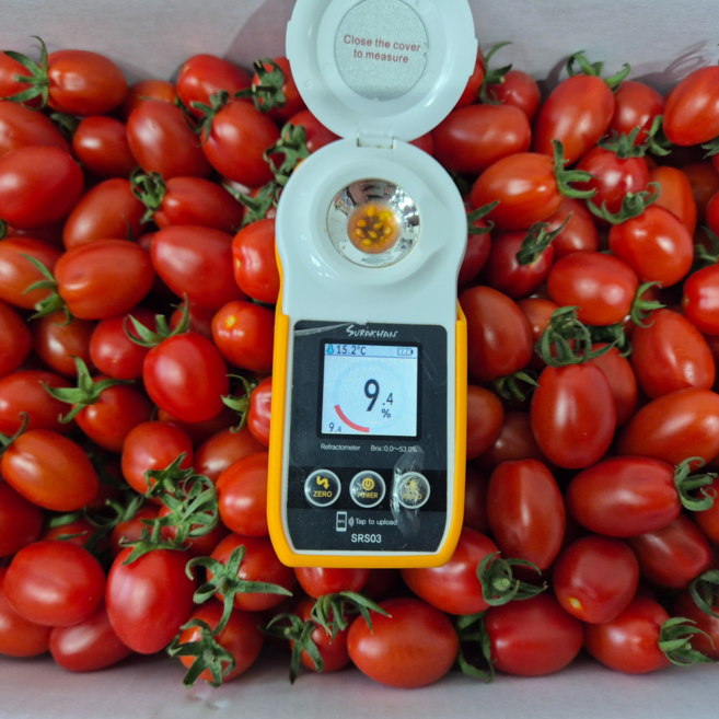 웅이과일 대추방울토마토 고당도 방토, 1박스, 대추방울토마토 1.5kg