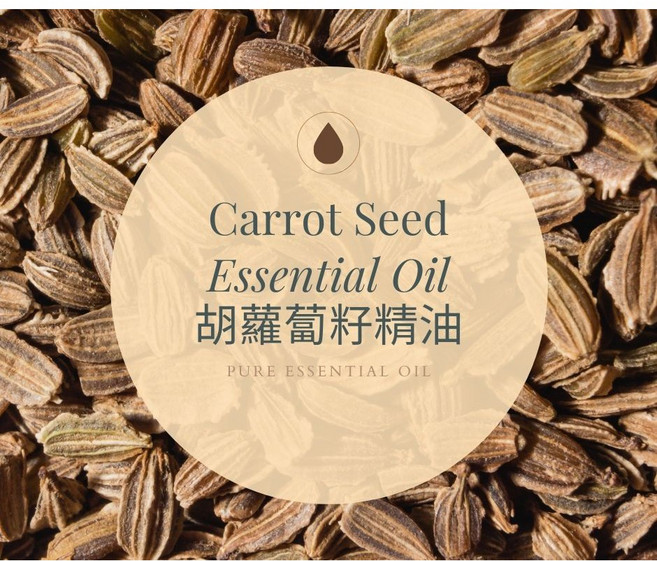 胡蘿蔔籽精油 Carrot Seed Essential Oil, 10g, 1個, 10ml