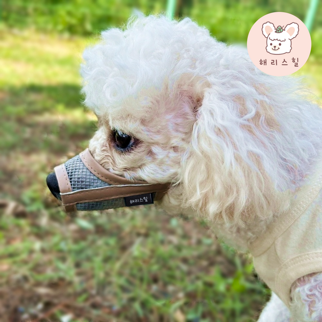 해리스힐 초경량 메쉬 컬러 입마개 XS, 1개, 오트베이지