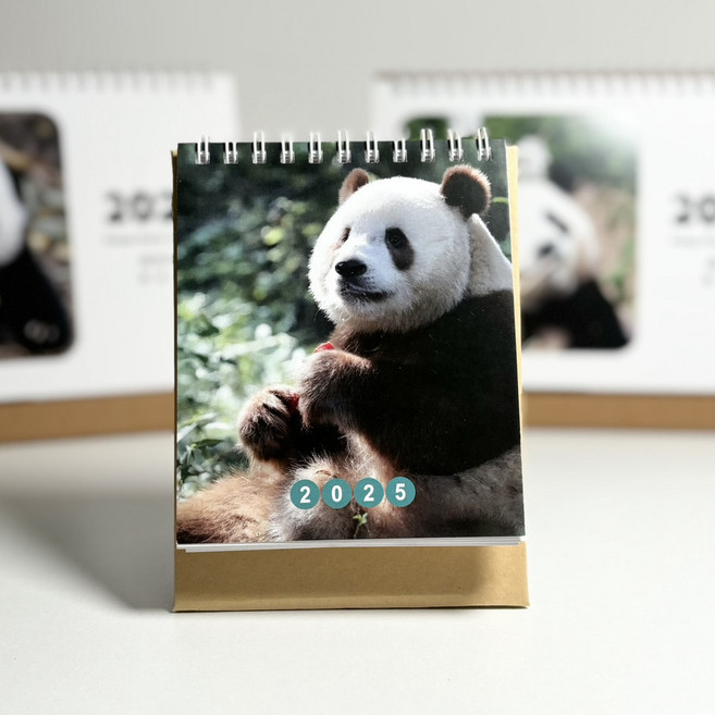 2025打卡日曆 大熊貓可愛桌面台曆 福寶噗寶福豬豬福藝珍月曆, 1個, 七仔小檯曆11X18cm送小卡,13張雙面