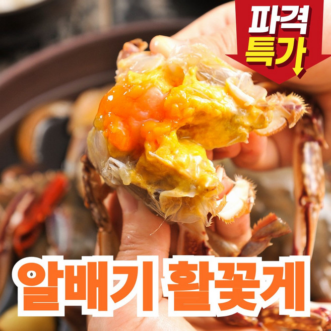 가성비 최강 봄 알배기 암꽃게, 1박스, 6미(1kg내외)