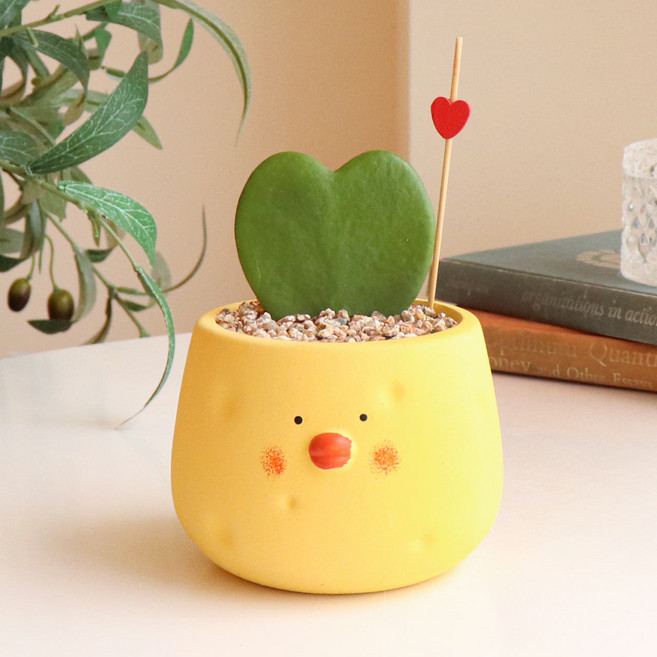 식물이좋다 병아리 괴마옥 피쉬본 하트호야 파인애플 생선뼈 하트, 아기병아리 하트호야+받침+꼬지+쇼핑백, 1개