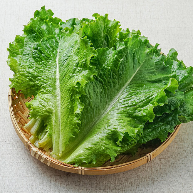 GAP인증 국내산 로메인 상추, 2kg, 1개