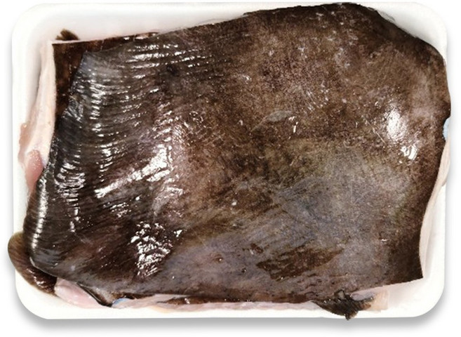 [나주수산] 숙성홍어 찜용1kg 아르헨티나 중간삭힘, 1개