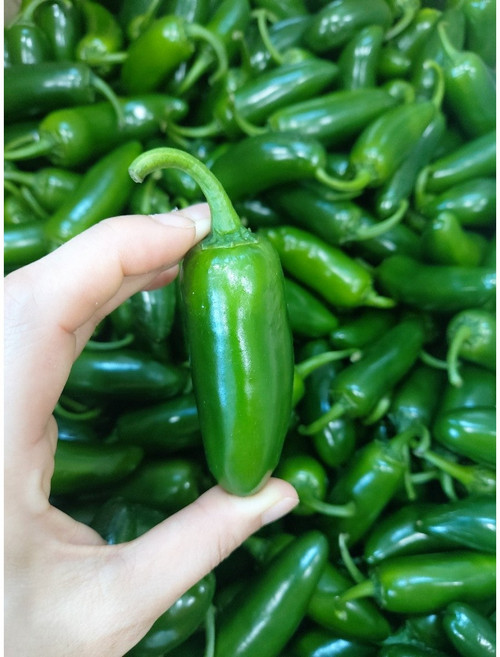 할라피뇨 고추 1KG 생 할라페뇨, 1개