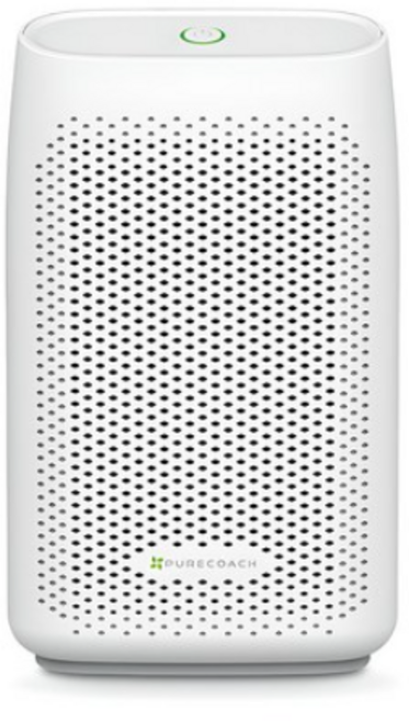 퓨어코치 원룸형 펠티어 제습기 300ml DH750-250D, DH750-250D(저소음 저전력)