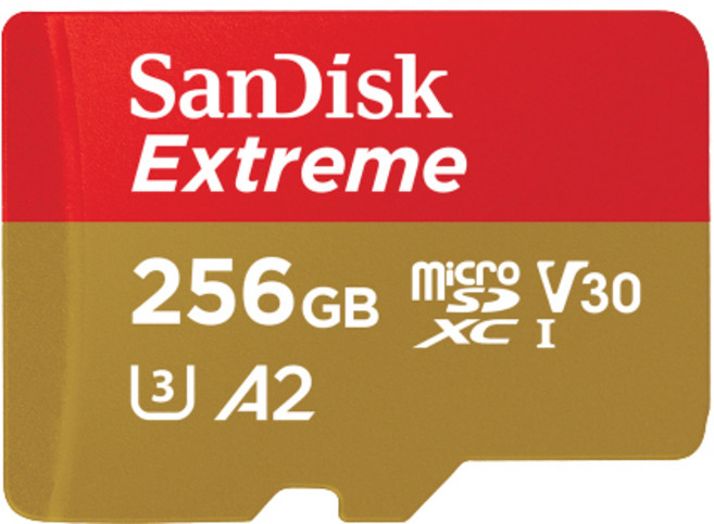 SanDisk 晟碟 紅金記憶卡 SDSQXAV GN6MN Extreme Micro 公司貨, 256GB, 1個